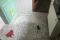 IMG-20200429-WA0007